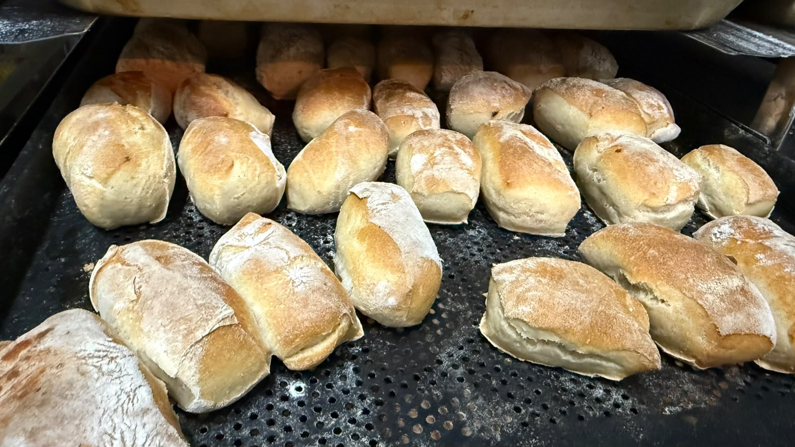 Panes Salidos del Horno